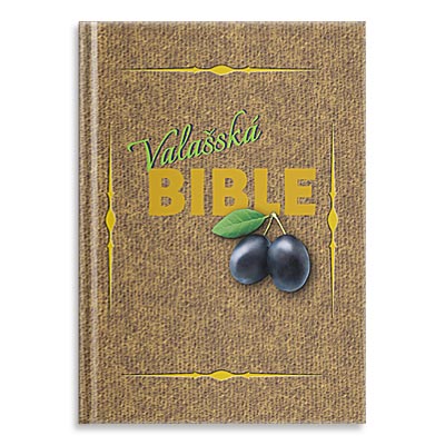 Léčivá kniha, Bible