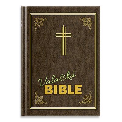 Léčivá kniha, Bible